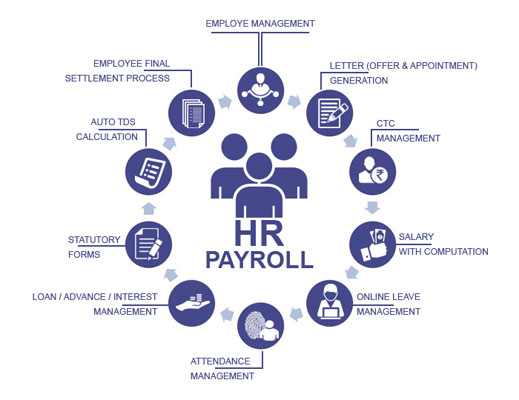 hr payroll chart software